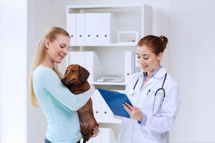 ЭЦП для оформления ветеринарных сертификатов (ГИС Меркурий) в Туймазах